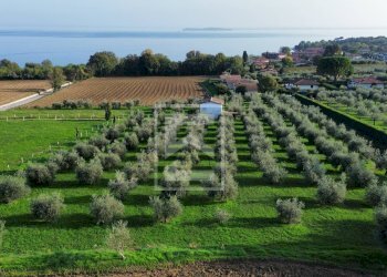 Foto 3 - Terreno edificabile Manerba del Garda - foto 3