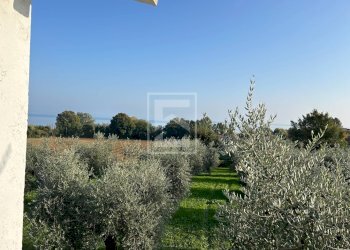 Foto 10 - Terreno edificabile Manerba del Garda - foto 10