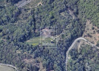 Foto 16 - Terreno agricolo VIA SERNIGA, Salò - foto 14