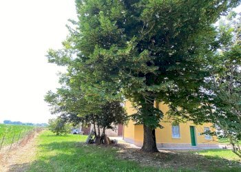 Foto 26 - Villa Via Canalazzi
 
167, Ferrara - foto 24