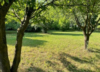 Foto 13 - Rustic via stradelle, Copparo - photo 13