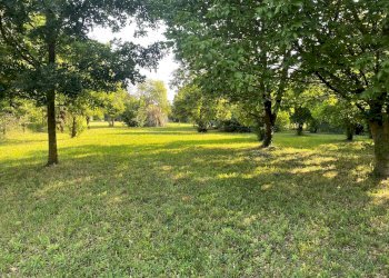 Foto 16 - Rustic via stradelle, Copparo - photo 16