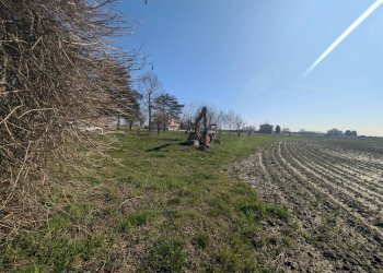 Foto 30 - Independent house via Linaroli
 
10, Portomaggiore - photo 30