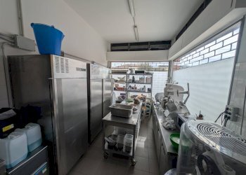 Foto 9 - Commercial Activity via chiesa
 
124, Ferrara - photo 9