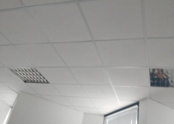 bagno - Office Via Granarolo
 
00, Faenza - photo 27