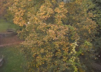 Foto 9 - Office Corso Domenico Baccarini, Faenza - photo 9