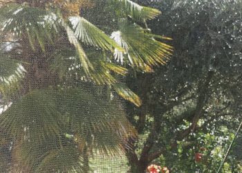 Foto 14 - Appartamento Via Lapi, Faenza - foto 14