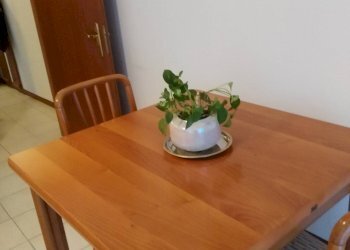 Foto 25 - Appartamento Via Fratelli Rosselli
 
00, Faenza - foto 25