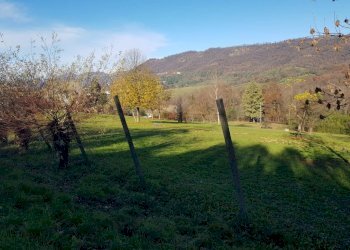 Foto 2 - Casa indipendente Brisighella - foto 2