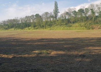 Foto 1 - Terreno agricolo Via Bidente
00, Forlì - foto 1