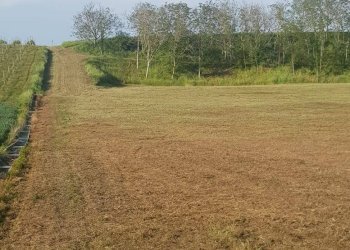 Foto 2 - Terreno agricolo Via Bidente
00, Forlì - foto 2