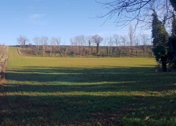 Foto 3 - Terreno agricolo Via Bidente
00, Forlì - foto 3