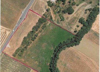 Foto 4 - Terreno agricolo Via Bidente
00, Forlì - foto 4