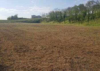 Foto 5 - Terreno agricolo Via Bidente
00, Forlì - foto 5