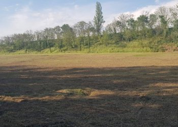 Foto 6 - Terreno agricolo Via Bidente
00, Forlì - foto 6