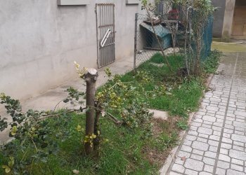 Foto 14 - Casa indipendente 00, Russi - foto 14