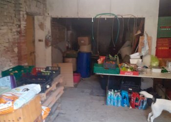 Foto 24 - Casa indipendente 00, Russi - foto 24