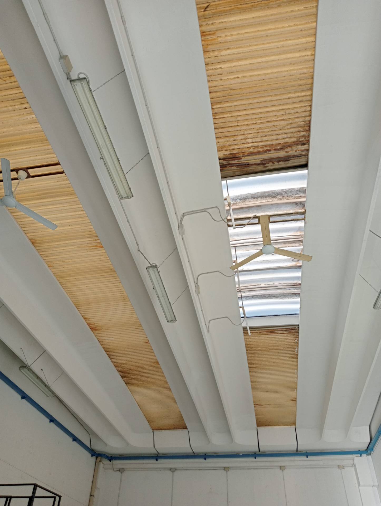 Foto 1 - Locale Commerciale via maestri del lavoro
 
00, Faenza - foto 1