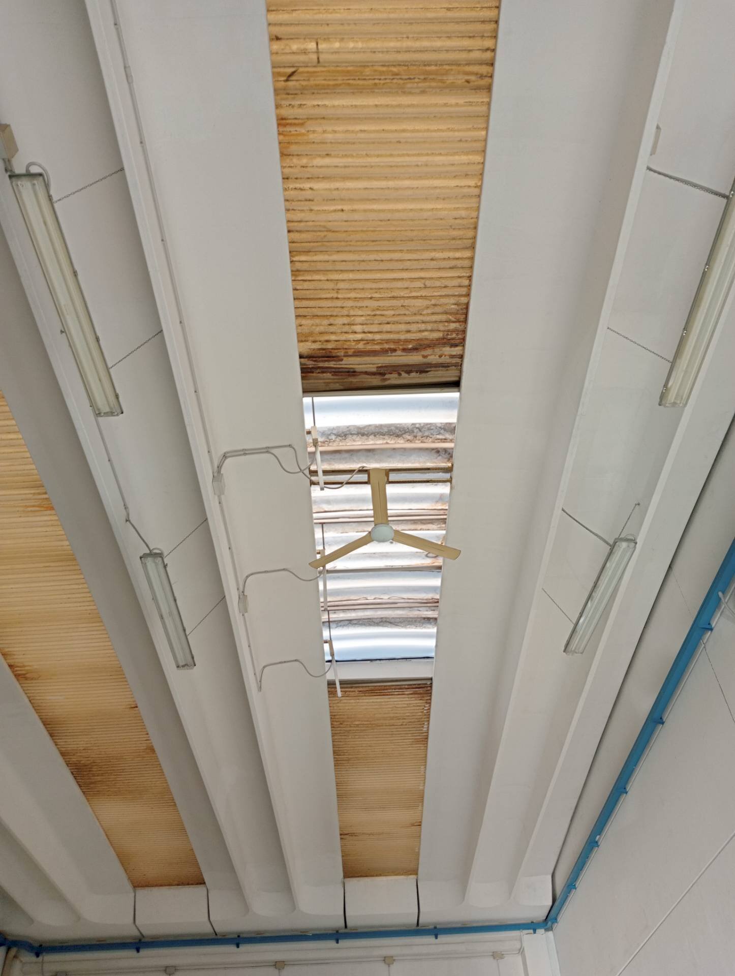 Foto 2 - Locale Commerciale via maestri del lavoro
 
00, Faenza - foto 2