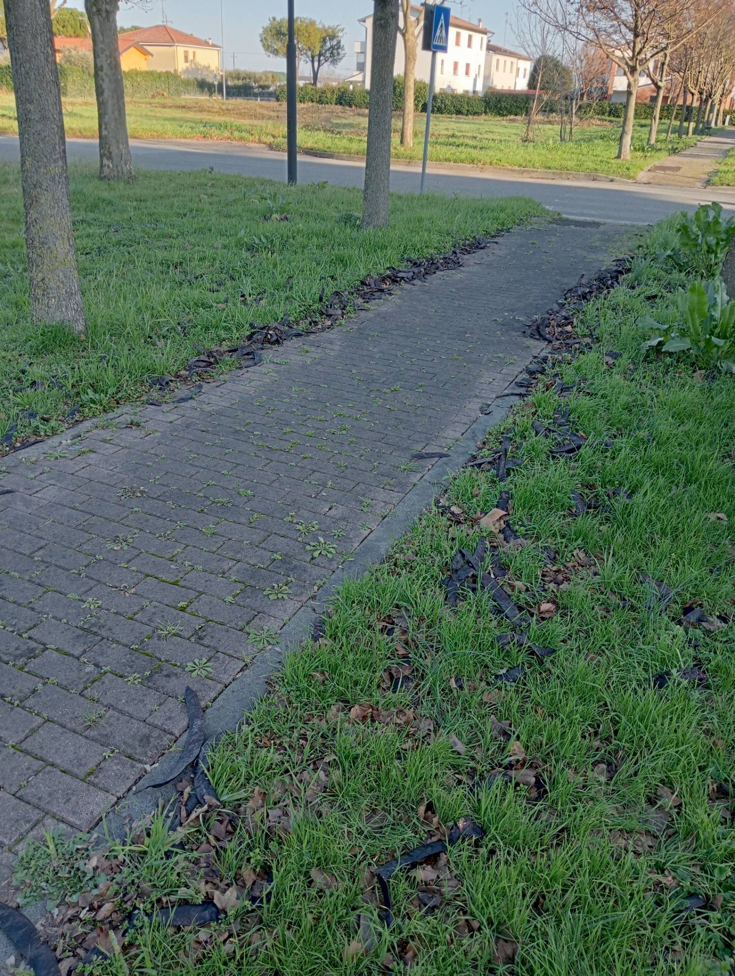 Foto 3 - Locale Commerciale via maestri del lavoro
 
00, Faenza - foto 3