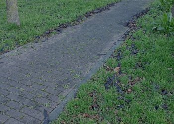 Foto 3 - Locale Commerciale via maestri del lavoro
00, Faenza - foto 3