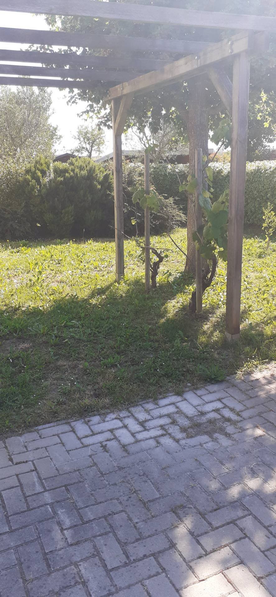 Foto 2 - Casa indipendente via boccaccio
 
00, Faenza - foto 2