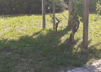 Foto 2 - Casa indipendente via boccaccio
 
00, Faenza - foto 2