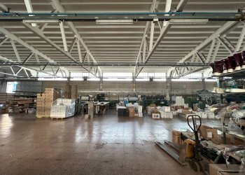 Foto 14 - Capannone via Vecchia Madonna dello Sterpeto
41-43, Barletta - foto 14