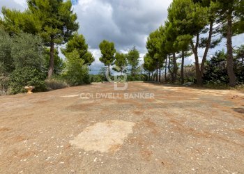 Foto 33 - Rustic Contrada Posta Milella
 
SN, Andria - photo 33