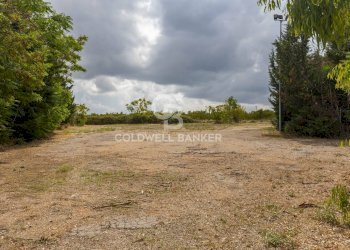 Foto 35 - Rustic Contrada Posta Milella
 
SN, Andria - photo 35