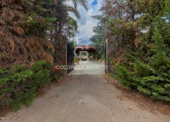 Foto 36 - Rustic Contrada Posta Milella
 
SN, Andria - photo 36