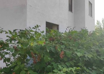 Foto 5 - Casa indipendente Strada Cuorgnè
 
54, Mappano - foto 5