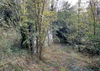 Foto 4 - Casa indipendente Via Generale Armando Pezzana
 
19, Caprie - foto 4