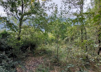 Foto 5 - Casa indipendente Via Generale Armando Pezzana
 
19, Caprie - foto 5