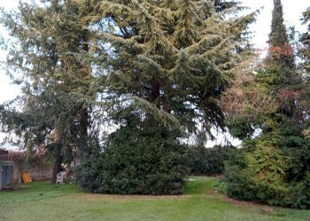 Foto 3 - Casa indipendente Via Pascaretto
 
62, Pinerolo - foto 3