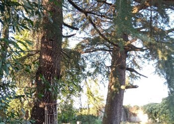 Foto 10 - Casa indipendente Via Pascaretto
 
62, Pinerolo - foto 10