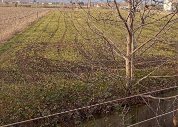 Foto 8 - Casa indipendente Via Pascaretto
 
62, Pinerolo - foto 8