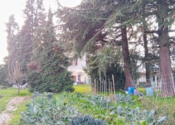 Foto 10 - Casa indipendente Via Pascaretto
 
62, Pinerolo - foto 10