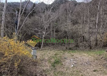 \nFoto 5\n - Rustico Barcis - foto 5