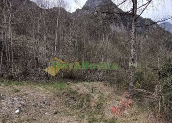 \nFoto 6\n - Rustico Barcis - foto 6