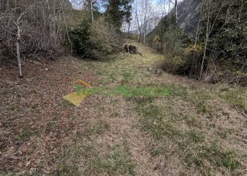 \nFoto 7\n - Rustico Barcis - foto 7