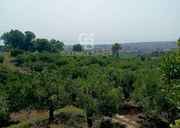 Foto 4 - Agricultural land via Pennisi, Mascali - photo 4