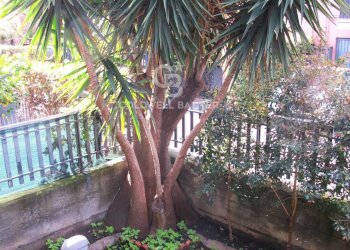 Foto 31 - Appartamento via Bellini
 
17, San Gregorio di Catania - foto 31