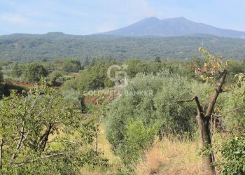 Foto 2 - Terreno agricolo via Fossa Aglistro
II Traversa, Piedimonte Etneo - foto 2