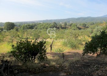 Foto 5 - Terreno agricolo via Fossa Aglistro
II Traversa, Piedimonte Etneo - foto 5