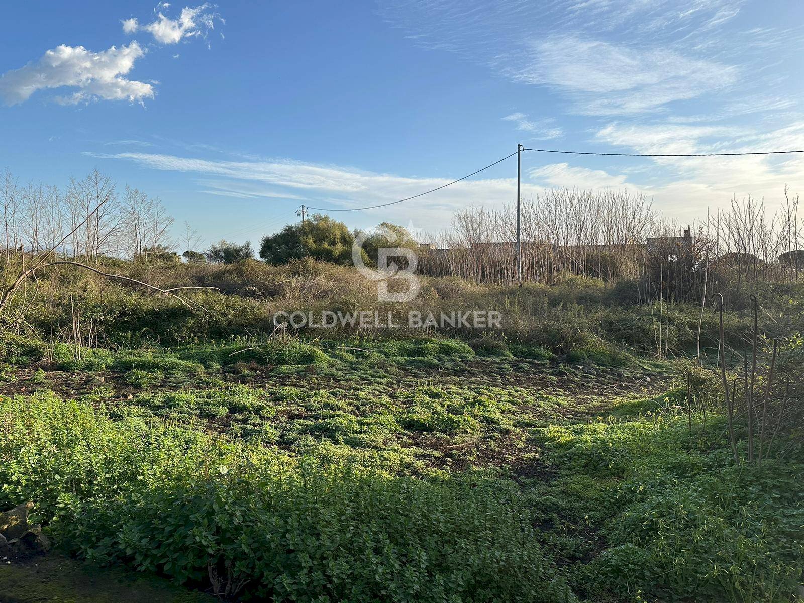 Foto 1 - Terreno edificabile Santa Venerina - foto 1