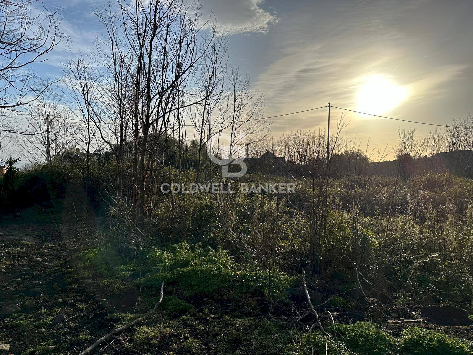 Foto 2 - Terreno edificabile Santa Venerina - foto 2