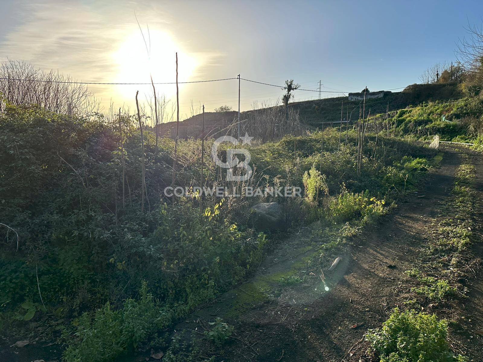 Foto 3 - Terreno edificabile Santa Venerina - foto 3