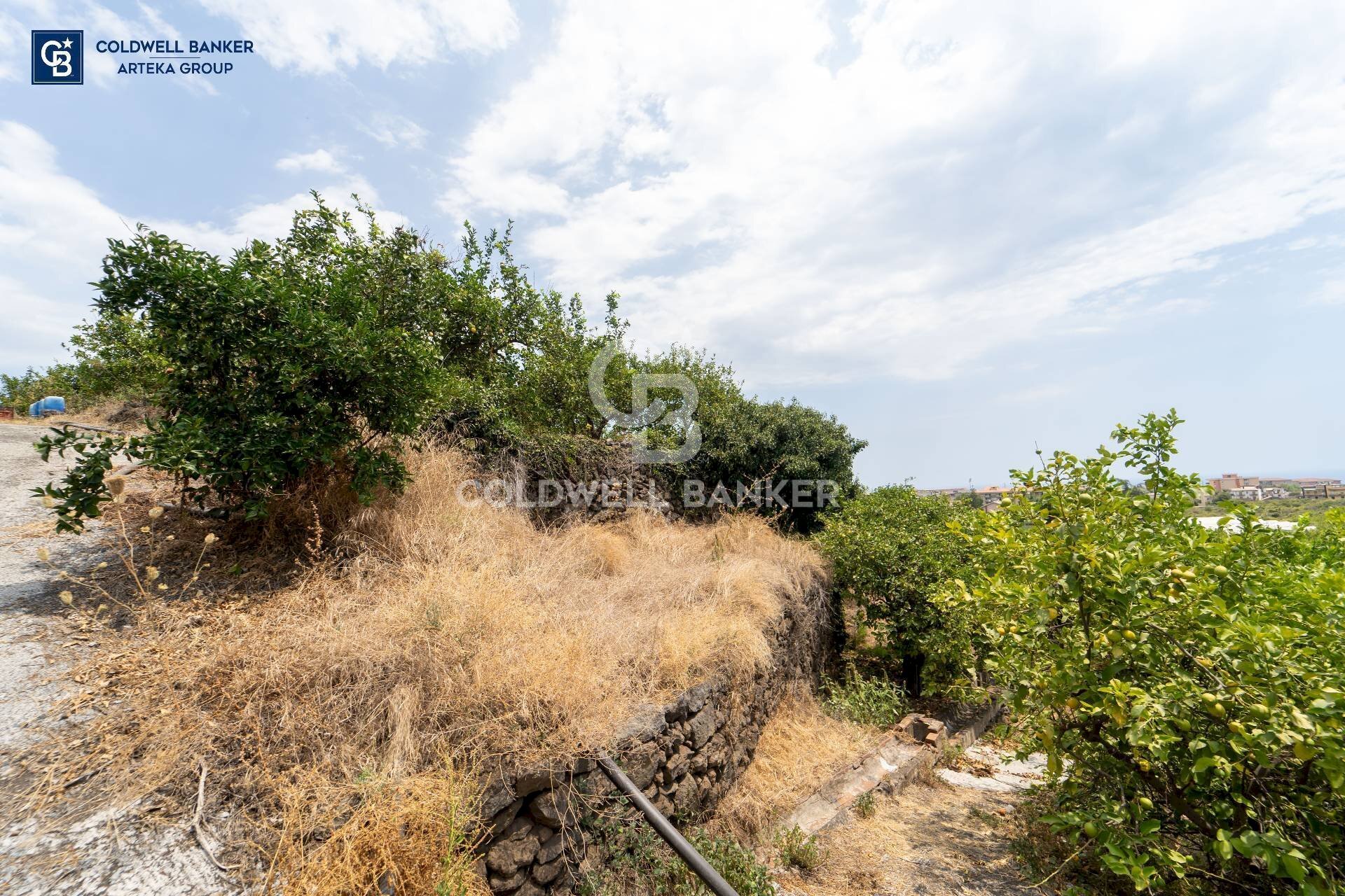 Foto 2 - Agricultural land Via Campanaro
 
snc, Acireale - photo 2