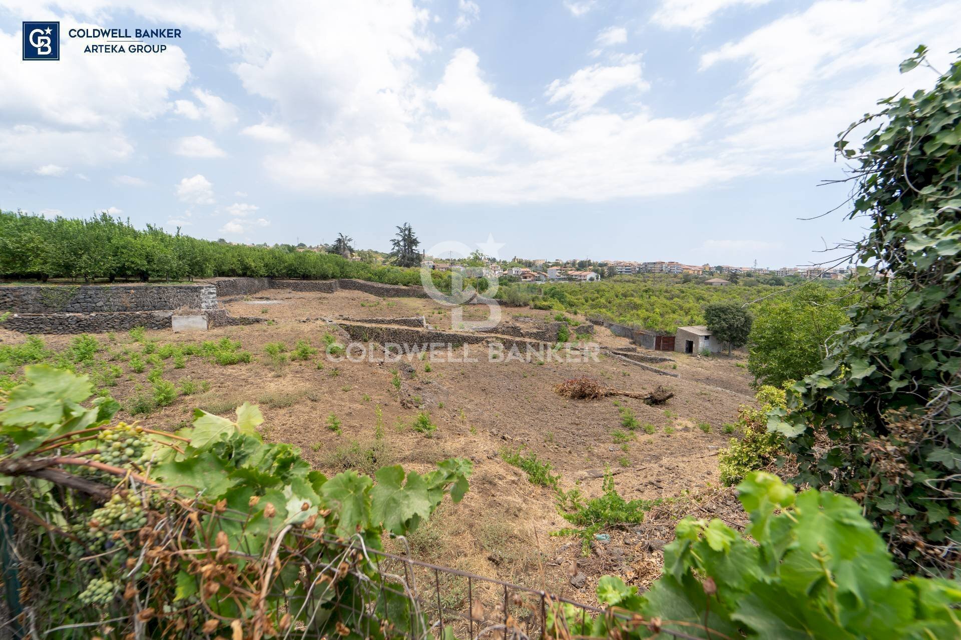 Foto 3 - Agricultural land Via Campanaro
 
snc, Acireale - photo 3